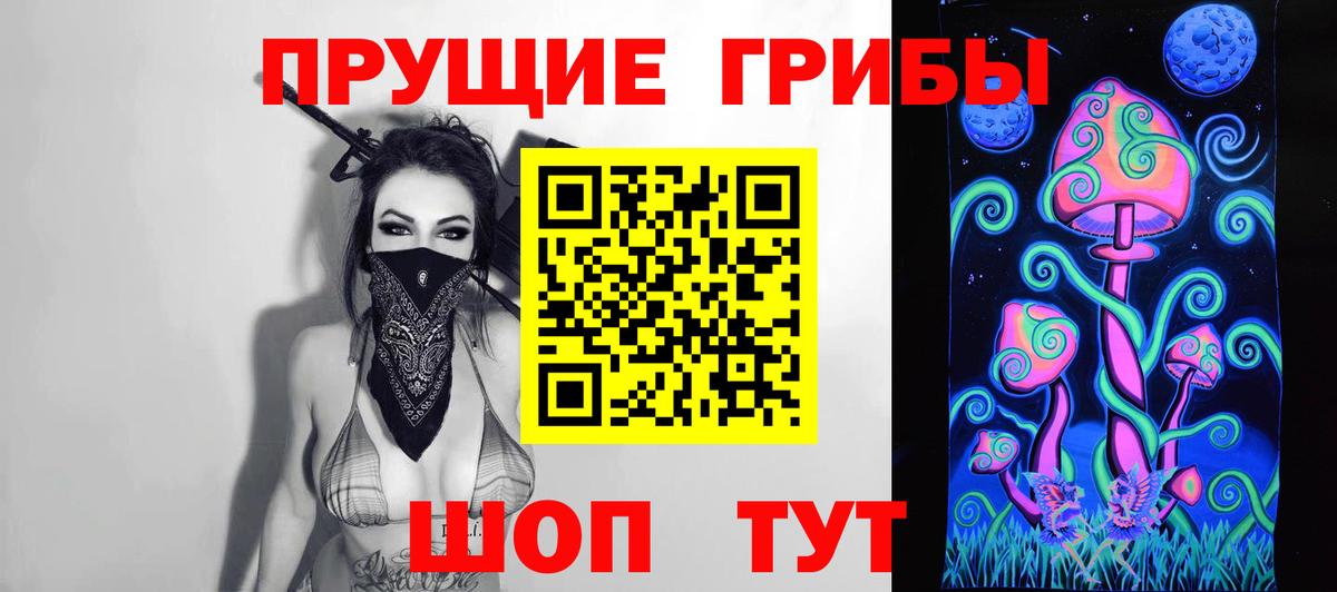 Галлюциногенные грибы мицелий Томск